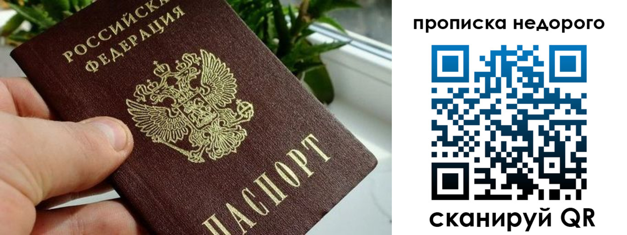 прописка для кредита в Ясном
